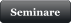 Seminare